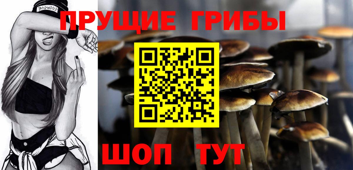 Галлюциногенные грибы Magic Shrooms  купить   Барабинск  Вход с VPN  Псилоцибиновые грибы прущие грибы 